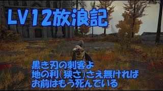 【エルデンリング】黒き刃の刺客（貴き者たちの英雄墓） LV12タイマンクリア【ELDEN RING】