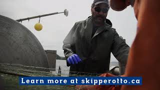 Learn More about Skipper Otto | Best Seafood