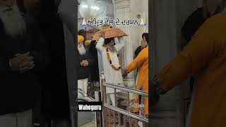 Waheguru ਜੀ guru granth sahib ji🙏🏻#goldentemplerecords #gurbani #amritvela