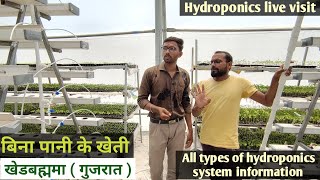 Hydroponic Farming At Khedbrahma | Vertical Farming - layering, Triangle \u0026 All Types of System Info.