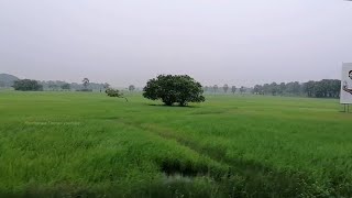 Navatkuli நாவற்குழி  jaffna