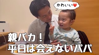 【1歳9ヶ月】忙しすぎるパパが帰ってきた！【甘々パパ】