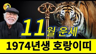 2024년 11월운세 [1974년생] #11월운세 #1974년생운세 #호랑이띠운세 #이달의운세 #11월