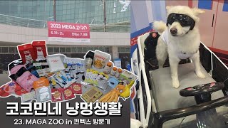 [코코민네 냥멍생활] 대박이랑 다녀온 2023 MEGA ZOO in 킨텍스 | 일산킨텍스 | 메가주 | BYCxRODA 개리야스 | LG 펫테크