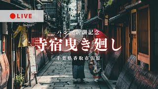 [LIVE] 寺宿曳き廻し ハンマ新調記念 千葉県香取市佐原 2024年5月6日