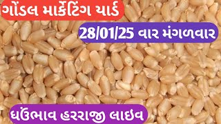 ગોંડલ ઘઉં ના ભાવ | Bhojani News  | 28-01-2025 | Gondal Marketing Yard | નવા ઘઉં ના ભાવ