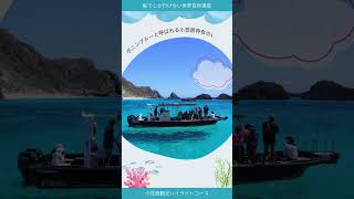 まだ見ぬ日本の景色を求めて…絶海の孤島・小笠原諸島（父島\u0026母島）6日間