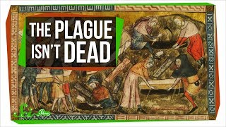 Could the Plague Rise Again?