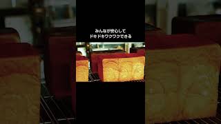 【静岡グルメ】平日は1日15食限定！高級食パンで作る絶品トーストランチ。とろけるミルク感にハマります・・・『ブレッドランド NACHURU』#shorts