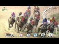 20161021 렛츠런파크 부산경남 7경주 1300m