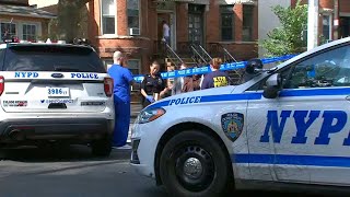 Man fatally shot while walking dog in NYC