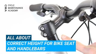 Correct Height For Bike Seat and Handlebars
