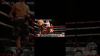 Devin Haney Knockout's Part#2 #boxing #boxingnews #devinhaney