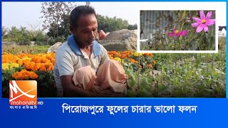 পিরোজপুরে ফুলের চারার ভালো ফলন  | Pirojpur | Mohona TV