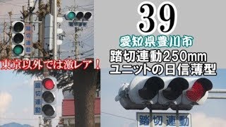 【信号機編その39】豊川市 東京以外では激レア！250mmユニットのLED