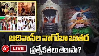 LIVE : ఆదివాసీల నాగోబా జాతర ప్రత్యేకతలు తెలుసా? |Special Story On Keslapur Nagoba Jatara |2024 | 6TV