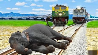 TWO TRAINS vs SLEEPING ELEPHANT 🐘 - Stops the train | BeamNG.Drive