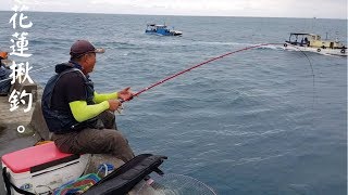 2018.11.04花蓮港東堤釣遊!磯釣、路亞、倒吊、瓜仔、海蛇、共七段^^Taiwan Hualien fishing