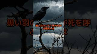 黒い羽のカラスが死を呼ぶ理由とは？ #都市伝説 #怖い話 #雑学