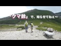 2015クマさんも住んでます 乗鞍岳