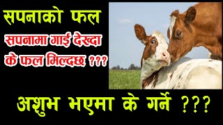 सपनामा गाइ देखेमा के हुन्छ ?  || sapana ma gai dekhe k huncha | Sapana Ma Gai || Sapana ko fal