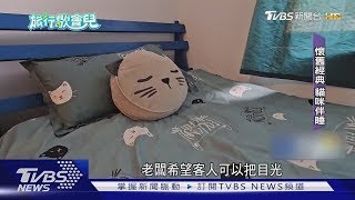 「喵星人」伴你入睡 民宿為中途貓遮風避雨｜TVBS新聞