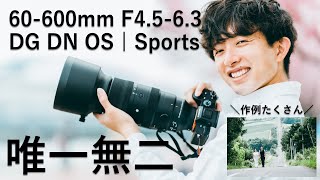 あの化け物ズームレンズと過ごした刺激的な日々…【SIGMA 60-600mm F4.5-6.3 DG DN OS | Sports】