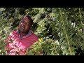 Madiba Omncane - Vulindlela[Official Music Video]