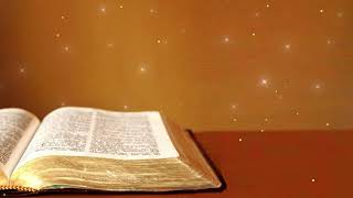 Free Gold bible video loop 29