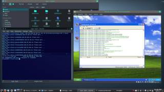 FTP Dictionary Attack Demonstration