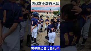 【狂喜乱舞】野球少女入団～男子を越えていけ～