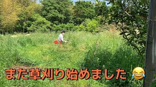 【小ジャングル化した庭】また草刈り機で草刈りしたよ！！/  I tried to mow the grass  again with a mower！！【Part②】