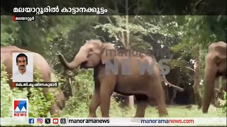 മലയാറ്റൂരില്‍ കാട്ടാനക്കൂട്ടം ഇറങ്ങി; കൃഷി നശിപ്പിച്ചു; ഭീതി | Malayattoor | Wild  elephant