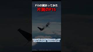 F15戦闘機は片翼で飛べるのか？シミュレーターで試してみた #dcsworld #フライトシミュレーター  #戦闘機