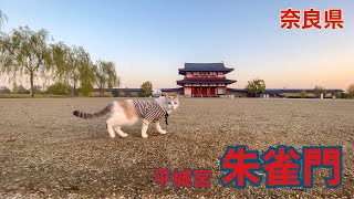 なんと立派な平城京の朱雀門ひろばへ行く旅する猫