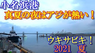 2021年 いわき市 小名浜港（夏・海釣り）アジ釣り！真夏の夜はアジが熱い！今、アジ・サバが釣れてます。【ウキサビキ・遠投サビキ仕掛け】