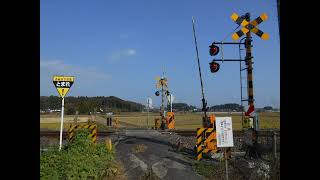 JR水郡線の色々な警報灯が縦並びの警報機のある踏切