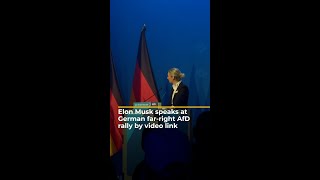 Elon Musk speaks at German far-right AfD rally by video link