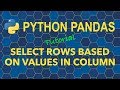 Python Pandas Select Rows from DataFrame Based on Values in Column