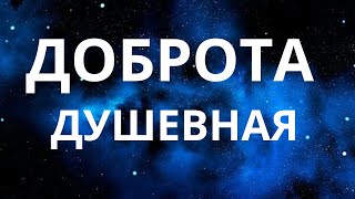 Как места делают нас добрее? Доброта душевная