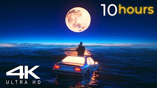 10 Hours Loop Bioluminescent Beach Screensaver Live Wallpaper 4k Ultra