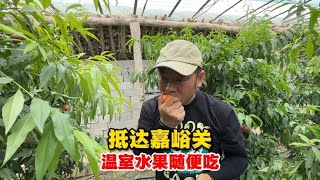 叉子夫妻抵达嘉峪关，谁知道没准备我们的饭，误闯土窑温室水果随便吃【叉子闯四海】