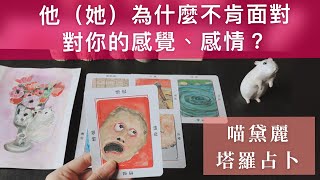 💌他（她）為什麼不誠實面對對我的感覺/感情？ ｜喵黛麗塔羅