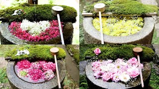 #88 はじまりの花手水（四季）