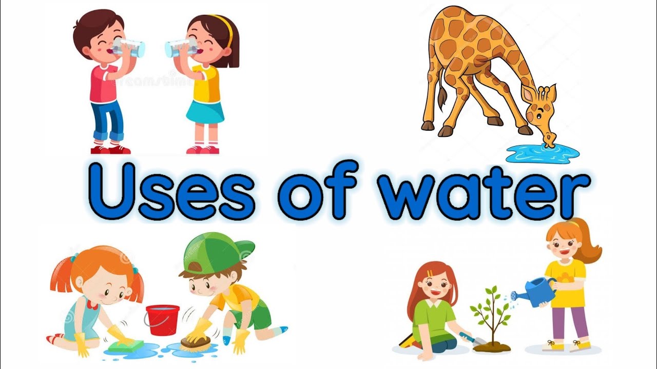 Uses Of Water | Importance Of Water | Water And It's Uses | Uses Of ...