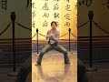 i don t know if this set of boxing can impress you. martialarts taichi taichi