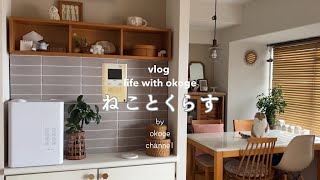 Daily life with cats starting with breakfast/DIY room makeover/Long-established bakery KOLN(CATVLOG)