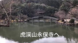 虎渓山永保寺と明智城趾に行ってきました