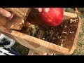 Homemade Apple Grinder and Press - DIY Apple Cider!