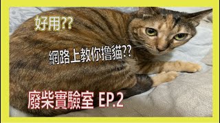 貓奴必看?? 網路上教的撸貓方式有效嗎!!??? 【廢柴實驗室】EP.2